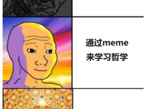 那还是通过meme学哲学罢