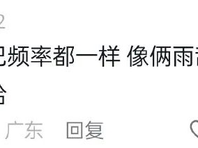 两只老抽狗狗相遇时好像在照镜子