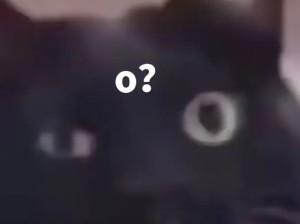 小猫咪哪有丑的，多可爱啊