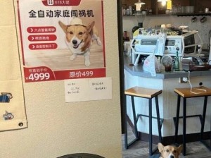 哇呀呀好萌的猫猫狗狗通缉令