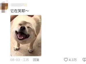 每个农村孩子记忆里可能都有只田园犬吧