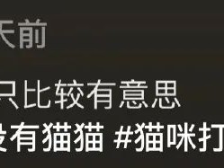 没事抱在一起睡，有事打得满天毛毛