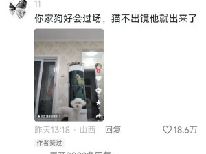 狗子起到一个逗号的作用