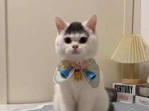 怎么会有这么奇怪的刘海