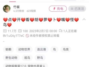 每次看到观鸟区视频标题都忍不住笑