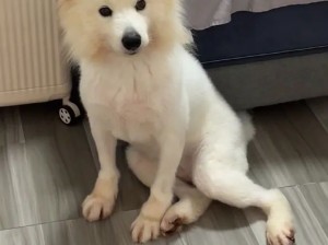 这一跤摔的妖娆多姿