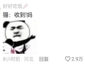 哈哈哈猫咪学的好快