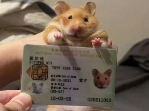 没想到小动物们也有身份证