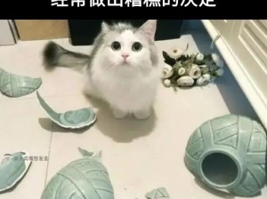 关于你更适合当猫的证据