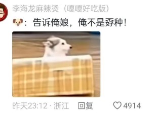 狗狗:我不知道啊，睡醒就变成鲁滨逊了