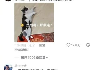 撒个娇差点变流浪猫了